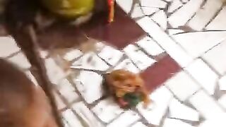 Lagi bermain di warung