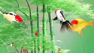ornamental fish animation