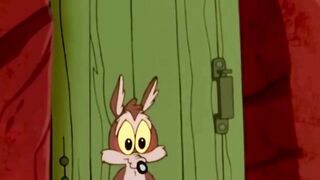 Baby wile E. coyote