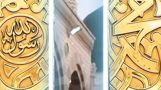 video 590