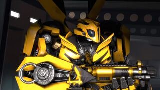 Bumblebee Transform Test