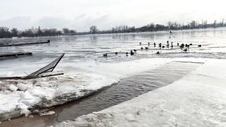 BATHING IN ICE WATER #1 |SWIMMING WINTER 2024| Epiphany bathing #bathingbaptism