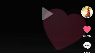 #Punjabi aseel lover