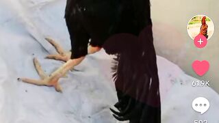 The video looks good so make sure