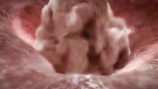 Le miracle de la vie ( simulation 3D d'une grossesse