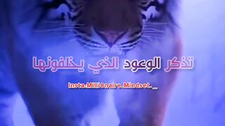 self motivation 2