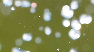 video 593
