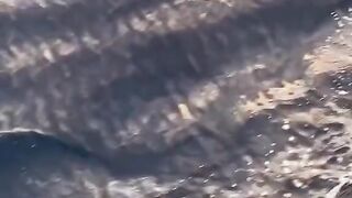 Beautiful ocean 3