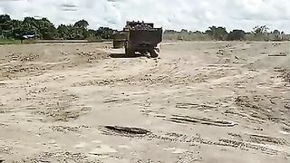 survive under the heat of the sun