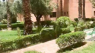 Les arbres ????