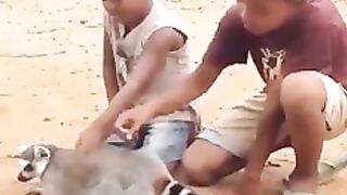 Kid play with the Animal????#febspot #Trending️