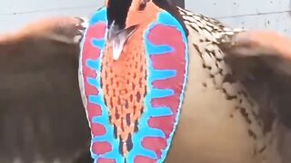 Bird lovers????#febspot #Trending️
