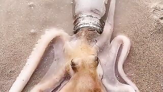 Starfish bottle mai guss gai????#febspot #funny