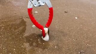 Amazing ????#febspot #funny