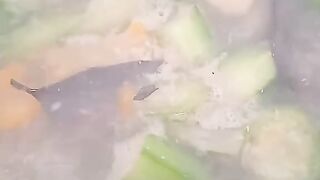 Sayur Bening Khas Indonesia