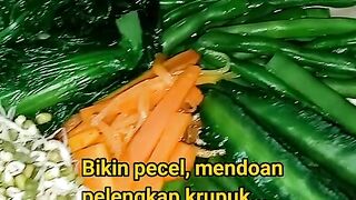 PECEL