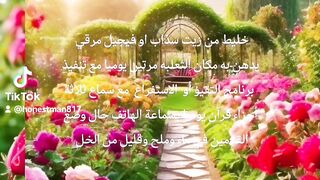 لا اله الا الله محمد رسول الله مابقي وجهه الكريم 6