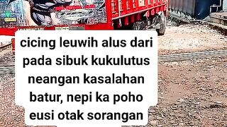 ayam broiler || kata kata lucu 171