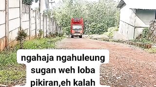 ayam broiler || kata kata lucu 172
