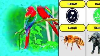 Daging Hewan Halal Dan Haram Dalam