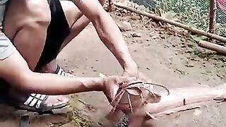 Caucasian jumbo catfish