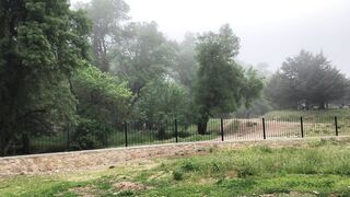 Ture al-khunaifira