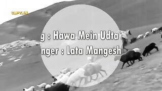 Hawa Mein Udta Jaaye (Lata Mangeshkar, Barsaat) - HD वीडियो सोंग
