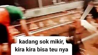 ayam broiler || kata kata lucu 178