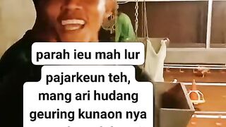 ayam broiller || kata kata lucu