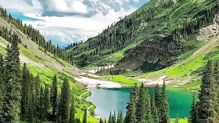 nature 32