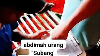 ayam broiler || kata kata lucu 181