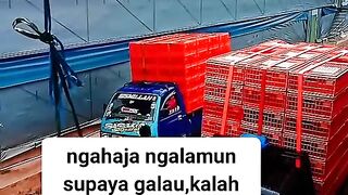 ayam broiler || kata kata lucu 183