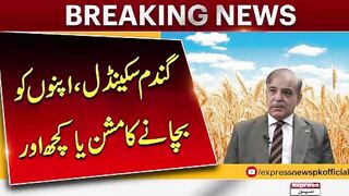 Wheat scandal  New revelation  PM Shehbaz Sharif Action
