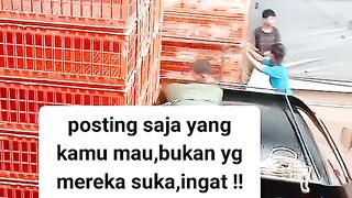 ayam broiler || kata kata lucu 187