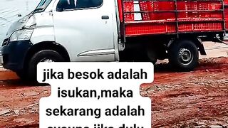 ayam broiler || kata kata lucu 189
