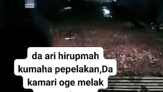 ayam broiler || kata kata lucu 192