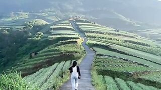 Negeri Sayur Sukomakmur