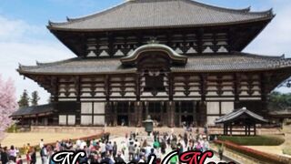 Nara Park (Nara).