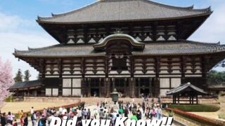 Nara Park (Nara) in japan