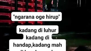 ayam broiler || kata kata lucu 195