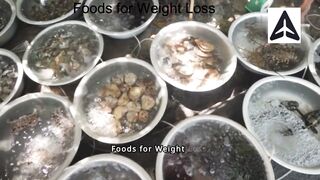Foods for Weight Loss