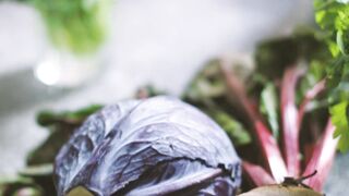 "Delicious Vegetarian Meal Ideas"