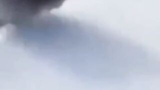 Зайцу не наливать