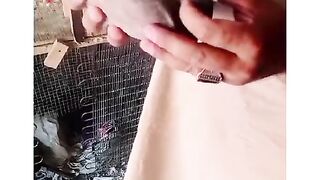 This pigeons