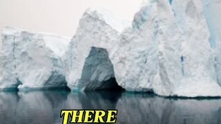 There are animals that live in the Antarctic Ocean region