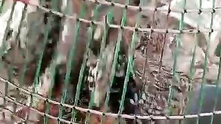 Me in cage