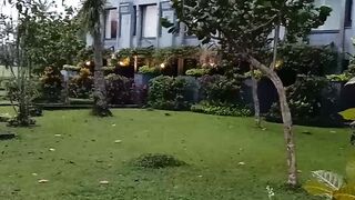 beautiful garden 3
