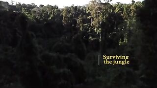 Philippines Surviving The Jungle