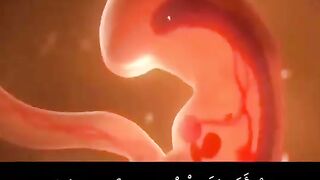 Beautiful video 60