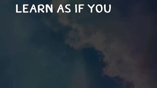 Motivational quotes 39